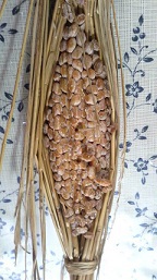 昔懐かし藁納豆！