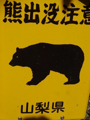 林道探検（続編２）
