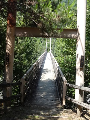 林道探検（続編２）