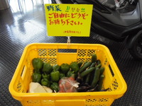 夏野菜プレゼント中！