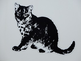 猫の日！