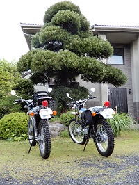 エルシノア整備！