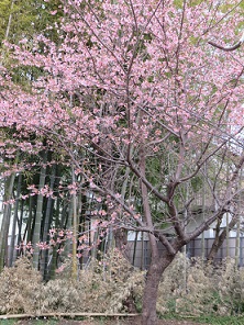 ３月１日の朝に！