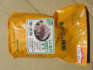 椎茸栽培に着手！