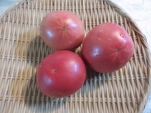 健康食品ＴＯＭＡＴＯ！