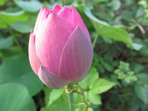 夏が終わる日！
