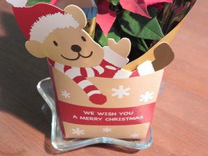 クリスマス　富士