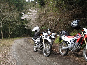林道への道は続く！