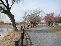 吊り橋　対決！・・・？