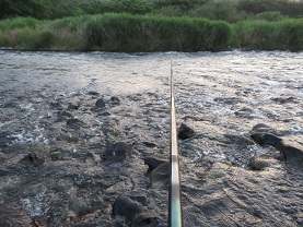 アユ釣り（カバリ）