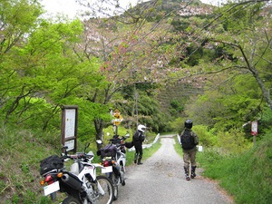 林道への道！