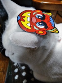 冷ややかな目！