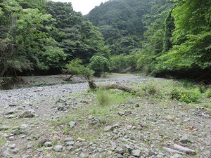 夏のキャンプを目指し！