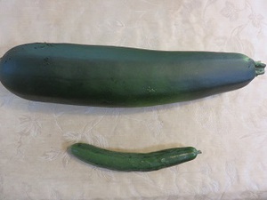巨大な野菜達！