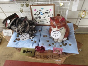 猫の細道！