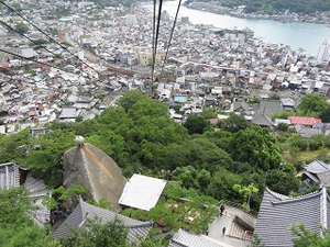 猫の細道！