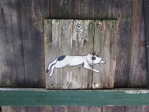 猫の細道！