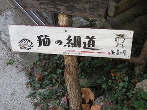 猫の細道！