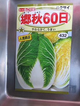 素人野菜（白菜）