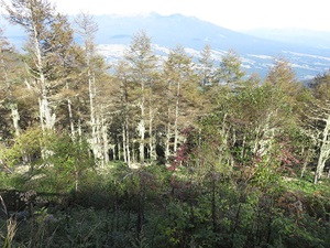 山の美しさに魅了！