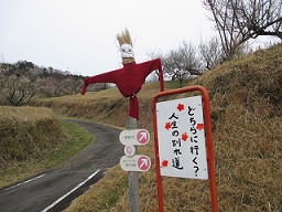 伊豆・梅園ツーリング！