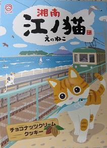 江の猫！