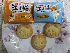 江の猫！