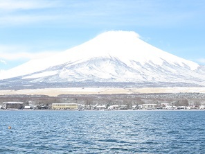 桜と富士山の関係！