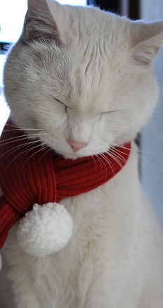 新年のごあいさつ！