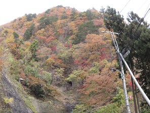 東京林道（2）