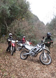 林道での暖かさは！