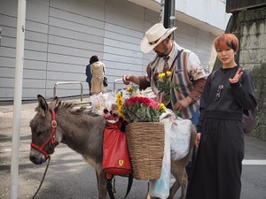 ロバの花売り！