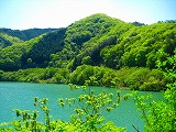 ドリームツーリング
