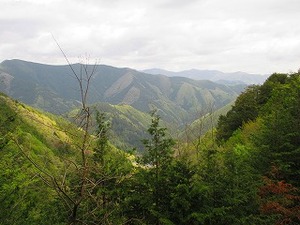 山梨ツーリング(秩父)