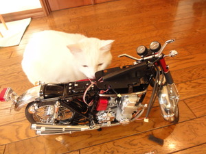ミルフィーのＣＢ７５０（ＮＯ６６）