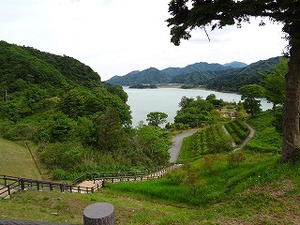 江の島グルメツーリング