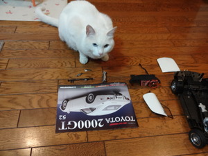 猫の整備士（ミルフィー）
