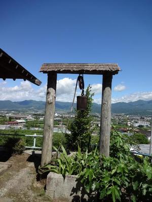 さくらんぼ狩り（山梨）