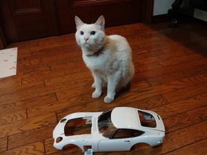 ミルフィー（猫整備士）