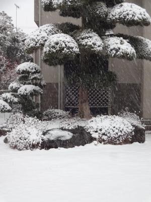 除雪機　（活躍）