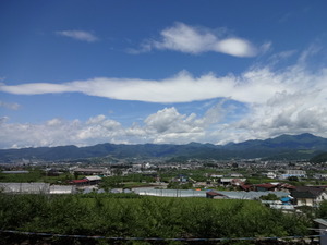もも狩り　（山梨）