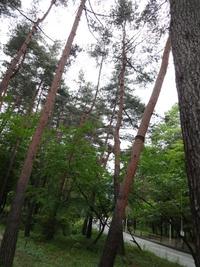サントリー工場見学（続編）