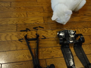 猫の整備士ミルフィー