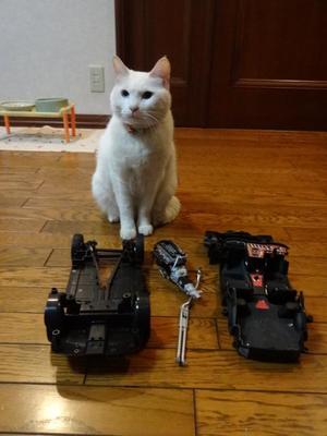 猫の整備士ミルフィー