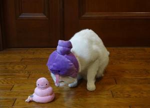 猫の整備士ミルフィー（トヨタ２０００ＧＴ）