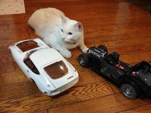 ＴＯＹＯＴＡ2000ＧＴ（猫の整備士）