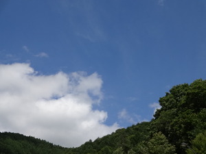オフロード入門（ＮＯ，５）