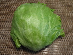 素人野菜研究会（レタス）