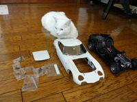 猫の整備士（ＴＯＹＯＴＡ２０００ＧＴ）