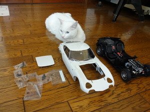 猫の整備士（ＴＯＹＯＴＡ２０００ＧＴ）